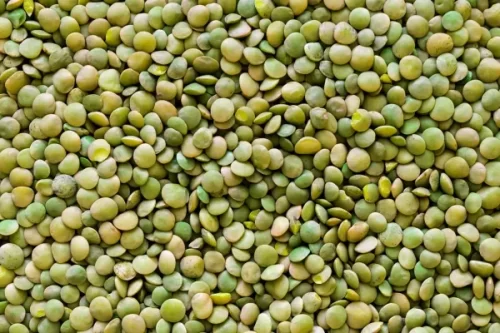 Green Lentils