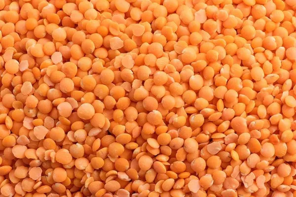 Red Lentils