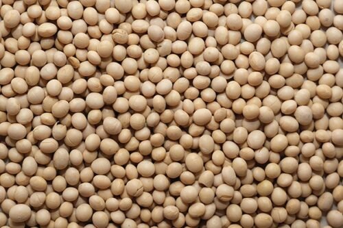 Soya Beans